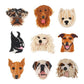 Personalised Pet Brooch